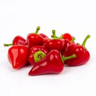 فلفل دلمه‌ ای ریز مخصوص ترشی و تزئین غذا